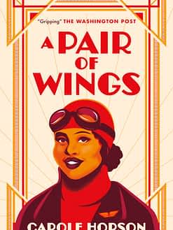 A Pair of Wings